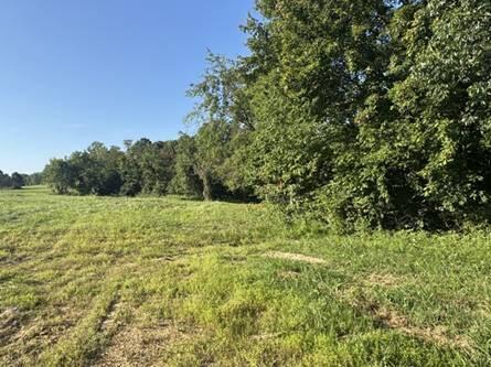 0 Golf Course Road, Unit TRACT 2 SKYLINEACRES) Waverly, OH 45690 - Photo 19 of 48 image019