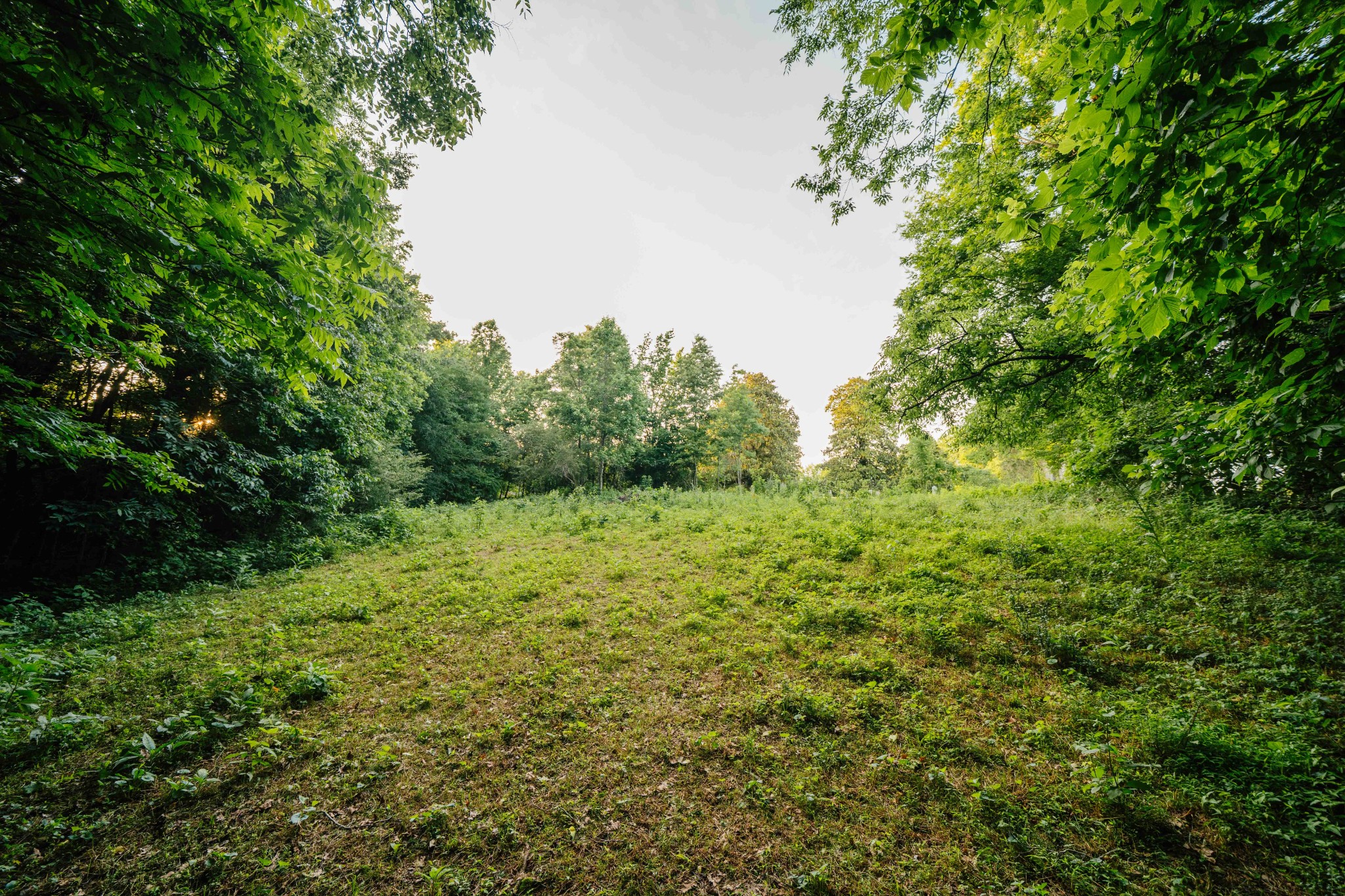 500 Case Road Prospect, TN 38477 - Photo 72 of 98