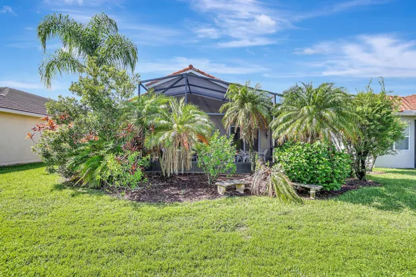 a view of a yard with palm trees