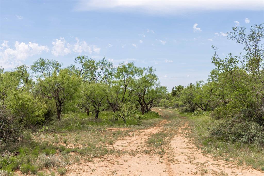 21800 Rr 11 Millersview, TX 76862 - Photo 13 of 40