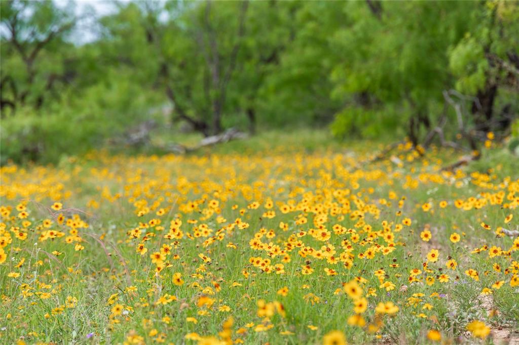21800 Rr 11 Millersview, TX 76862 - Photo 14 of 40