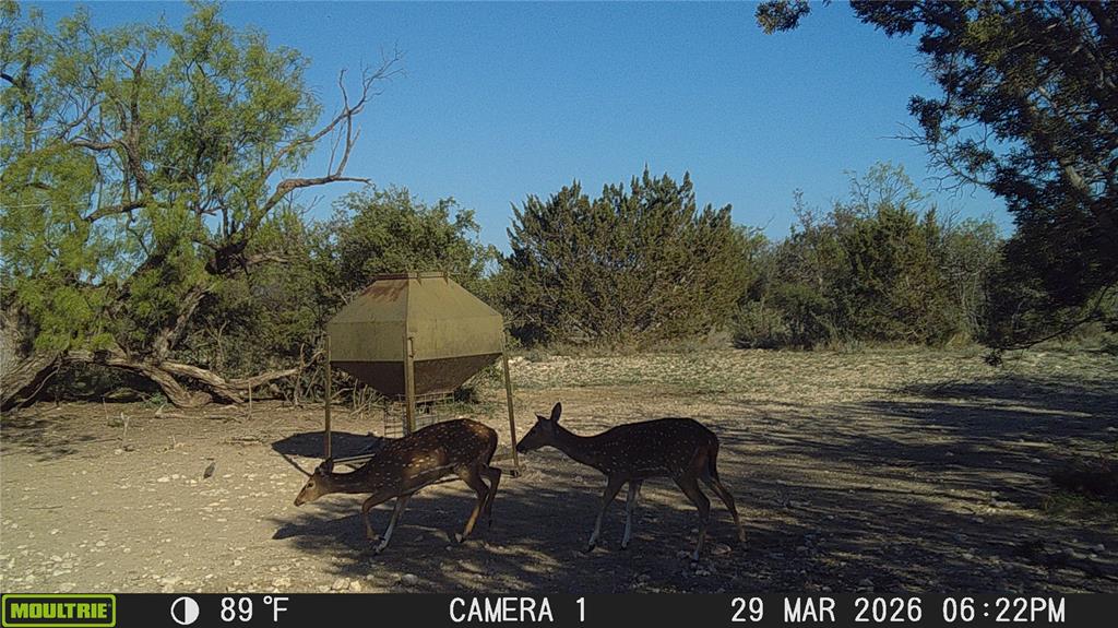 21800 Rr 11 Millersview, TX 76862 - Photo 25 of 40