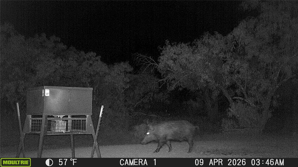 21800 Rr 11 Millersview, TX 76862 - Photo 26 of 40