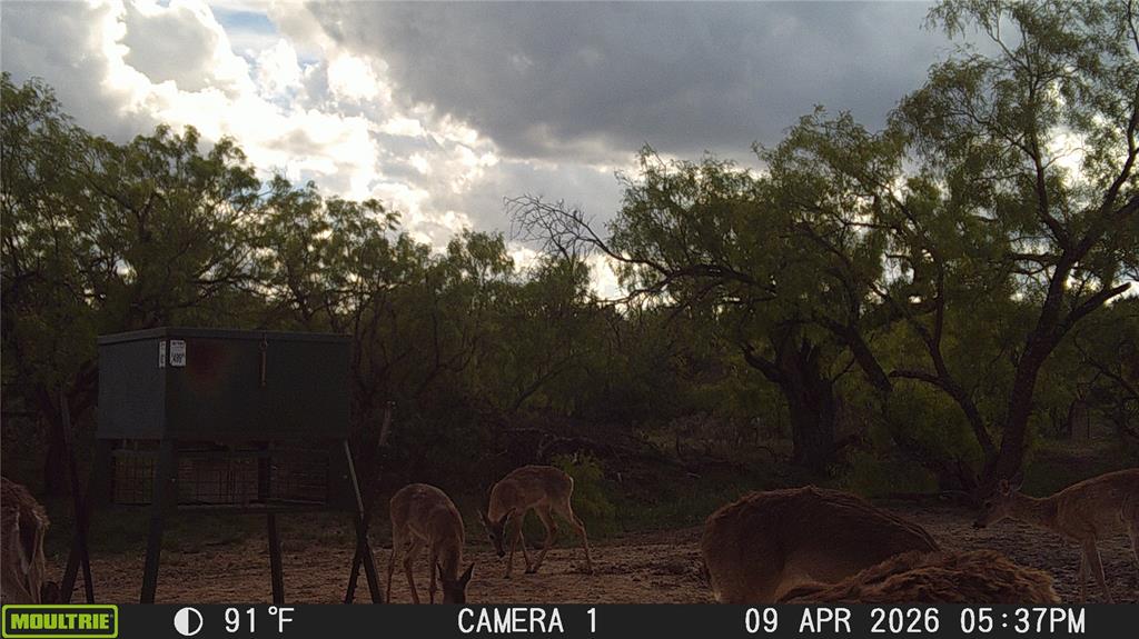 21800 Rr 11 Millersview, TX 76862 - Photo 27 of 40