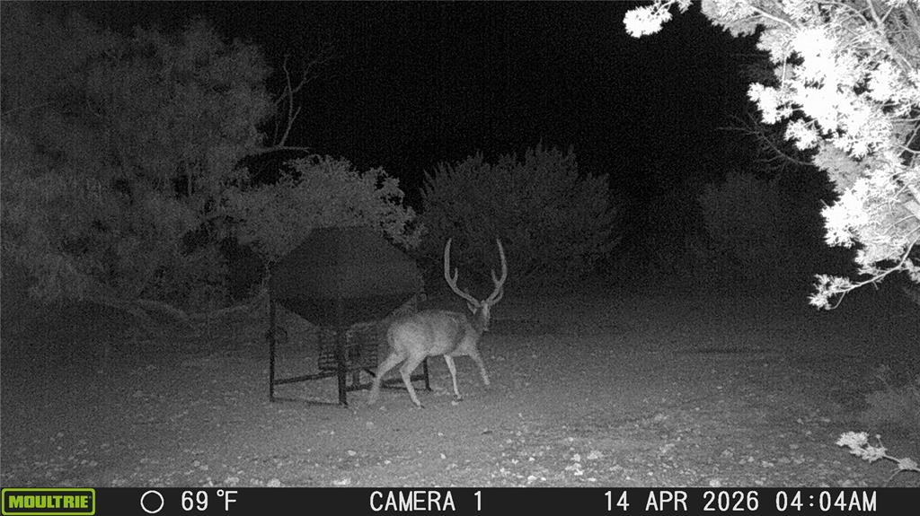 21800 Rr 11 Millersview, TX 76862 - Photo 28 of 40