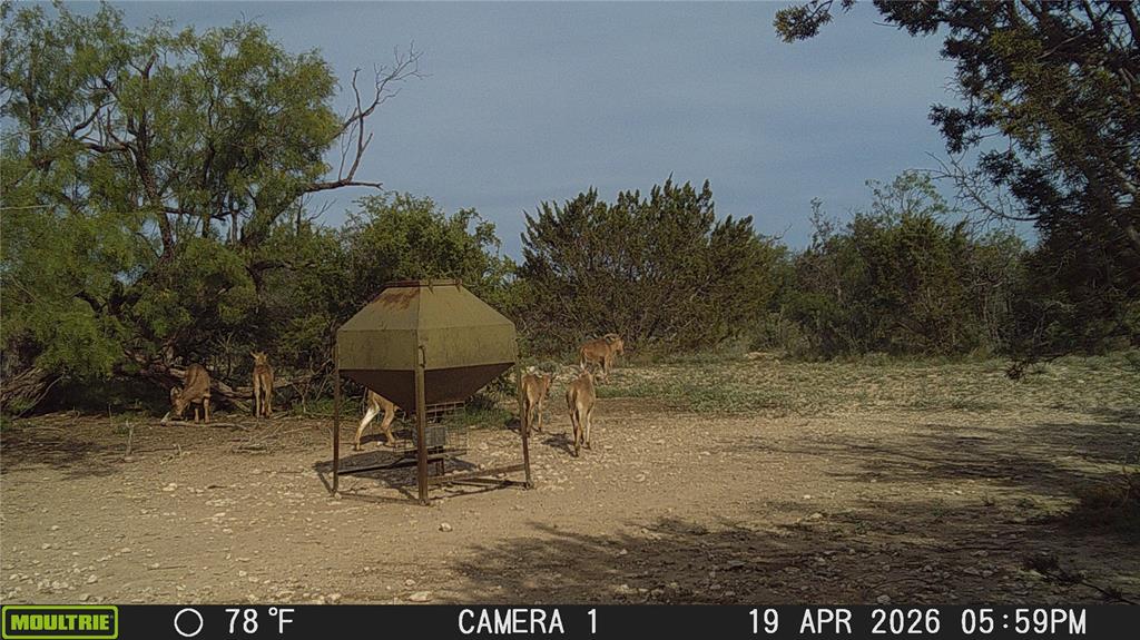 21800 Rr 11 Millersview, TX 76862 - Photo 29 of 40
