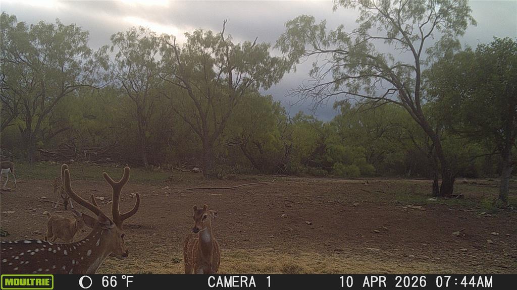 21800 Rr 11 Millersview, TX 76862 - Photo 32 of 40