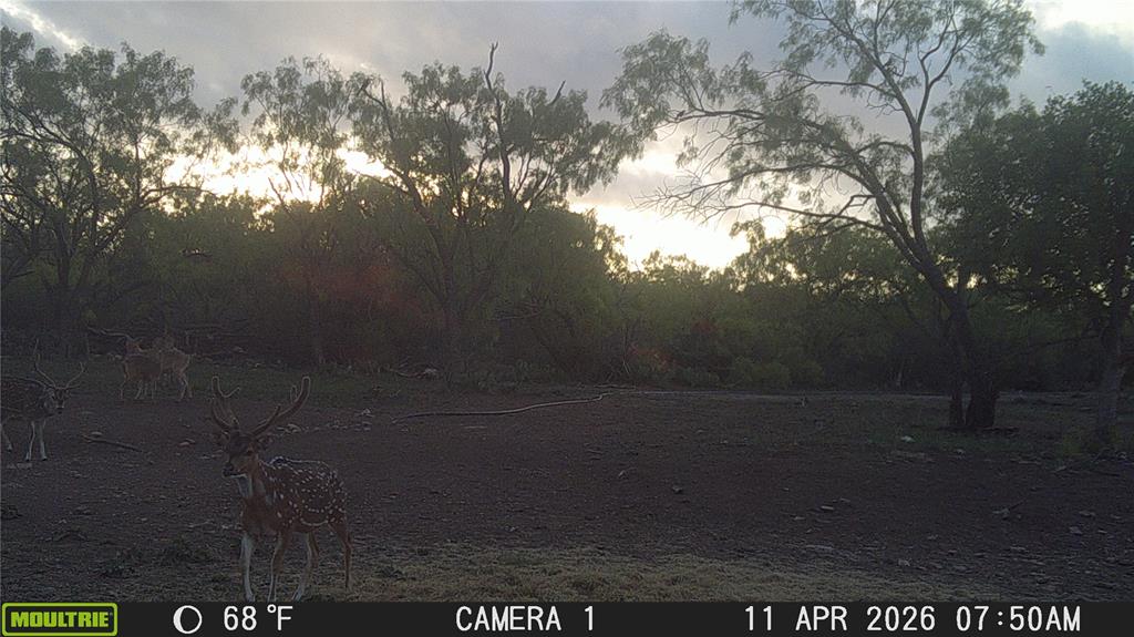 21800 Rr 11 Millersview, TX 76862 - Photo 33 of 40