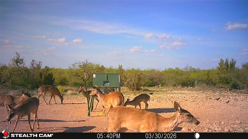 21800 Rr 11 Millersview, TX 76862 - Photo 34 of 40