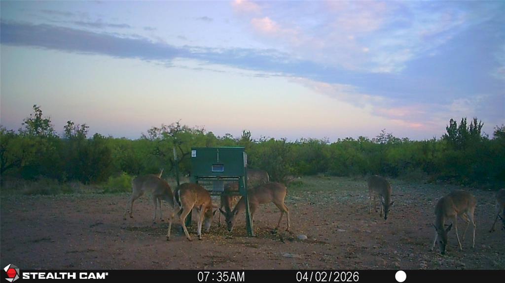 21800 Rr 11 Millersview, TX 76862 - Photo 36 of 40
