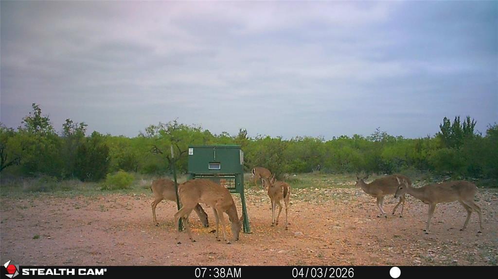 21800 Rr 11 Millersview, TX 76862 - Photo 37 of 40