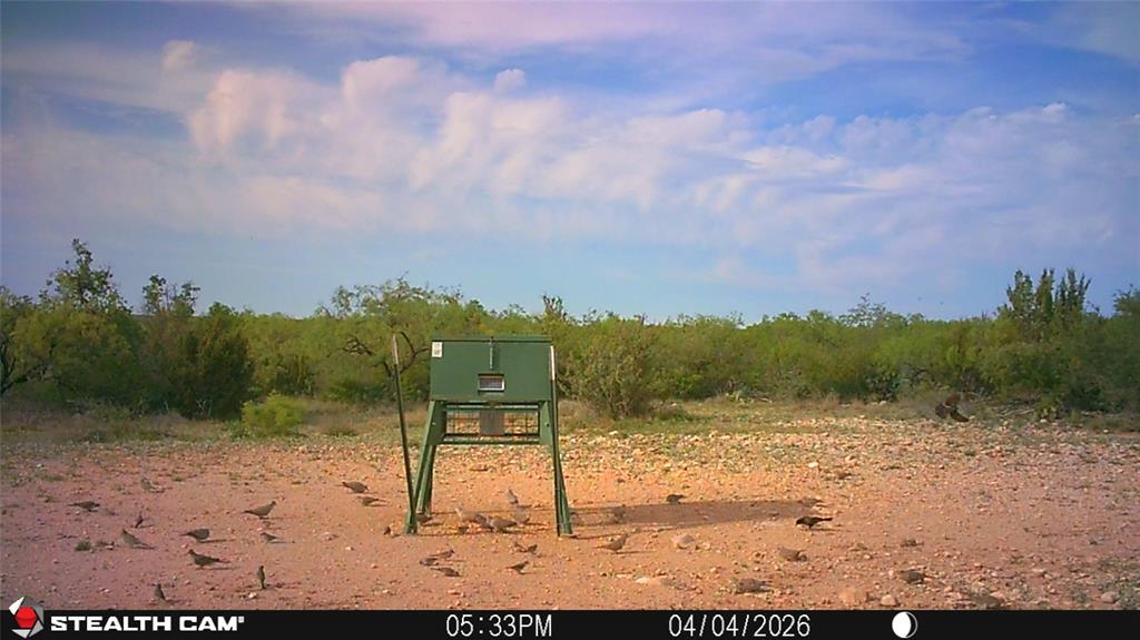 21800 Rr 11 Millersview, TX 76862 - Photo 38 of 40