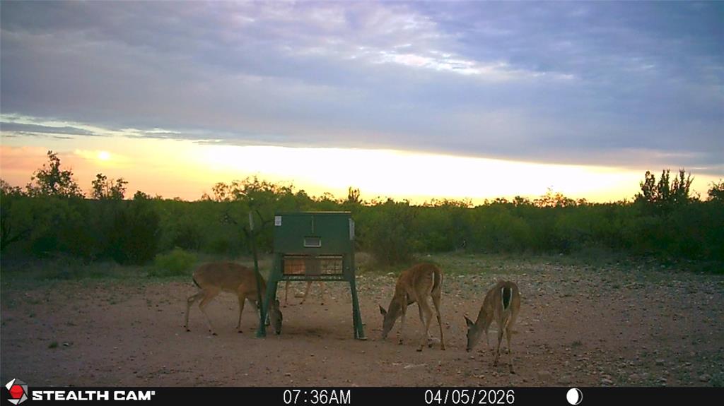 21800 Rr 11 Millersview, TX 76862 - Photo 39 of 40