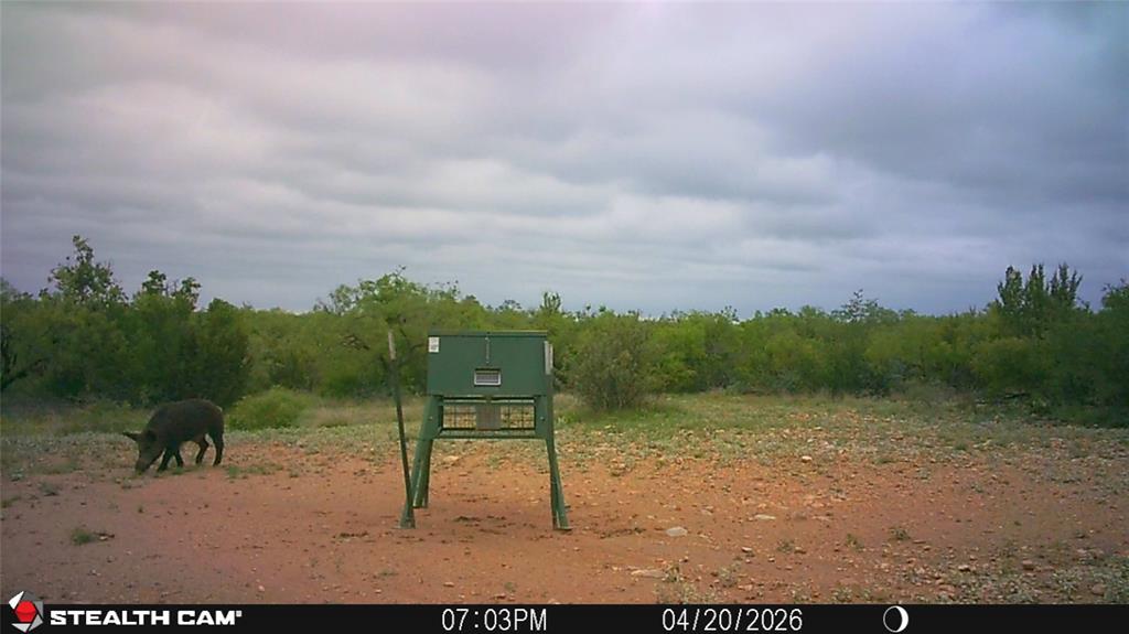 21800 Rr 11 Millersview, TX 76862 - Photo 40 of 40