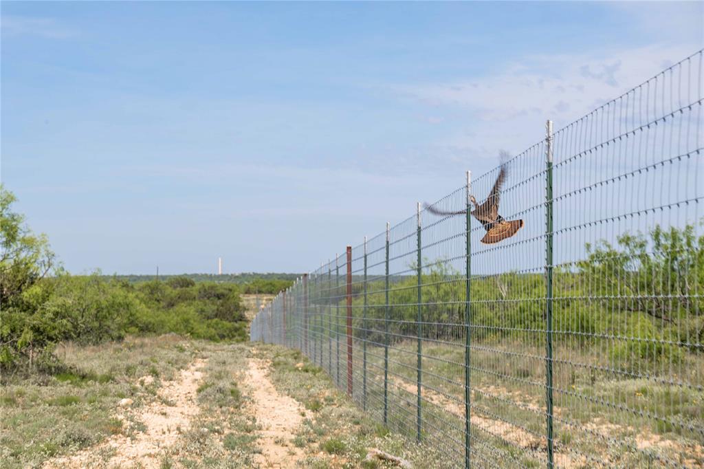 21800 Rr 11 Millersview, TX 76862 - Photo 10 of 40