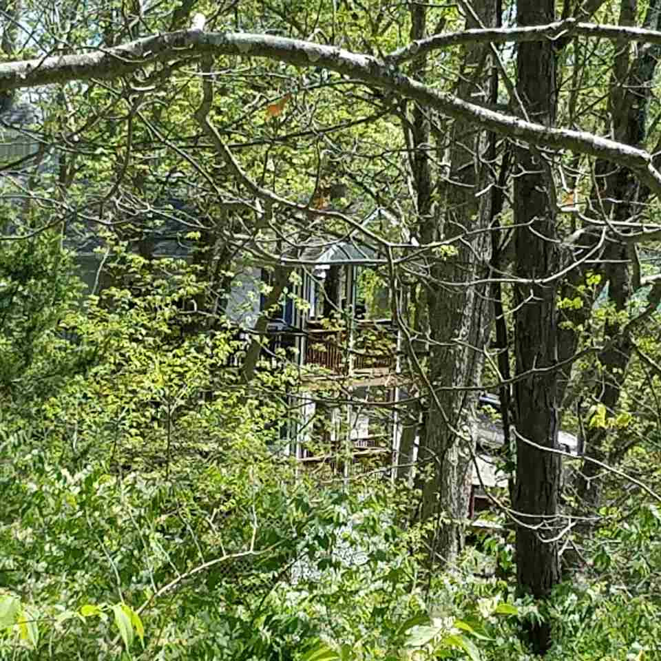 425 Cash Drive Dry Ridge, KY 41035 - Photo 26 of 26 Gallery Image 26