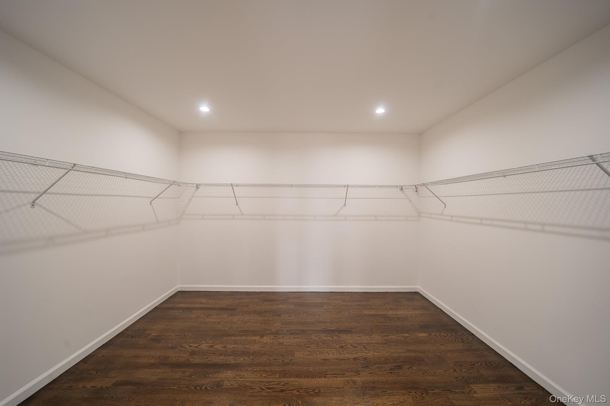770 Cedar Street Syosset, NY 11791 - Photo 24 of 35 Spacious closet with dark wood finished floors