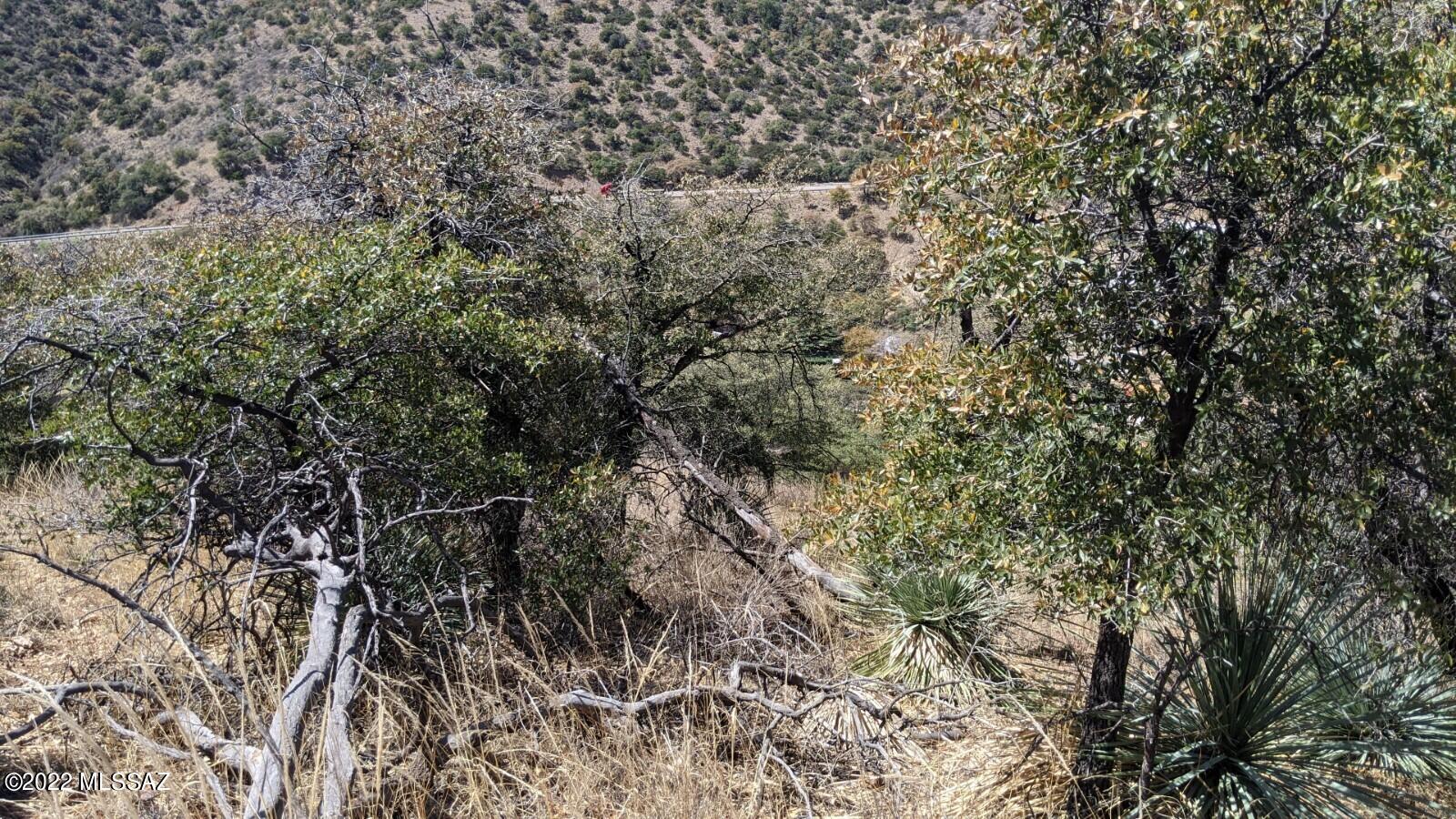 Tbd Adams Avenue, Unit MULTIPL Bisbee, AZ 85603 - Photo 24 of 35