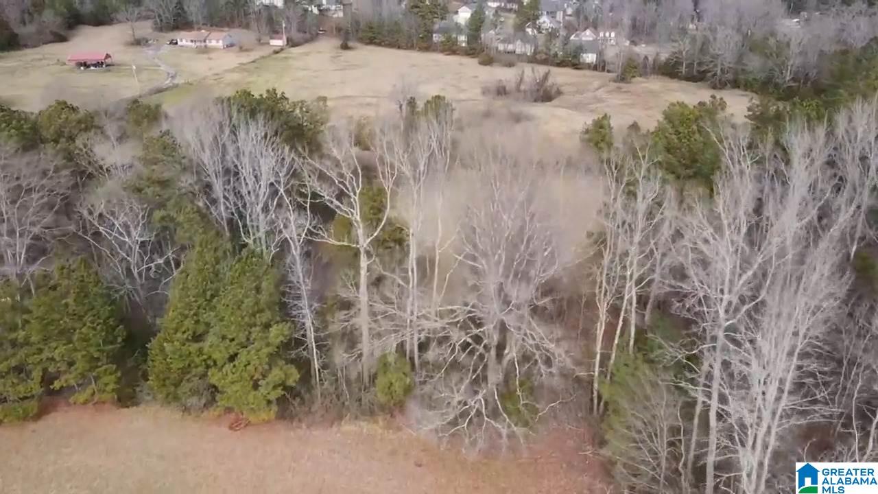 0 Eagle Bald Road, Unit 471 Jacksonville, AL 36265 - Photo 7 of 7