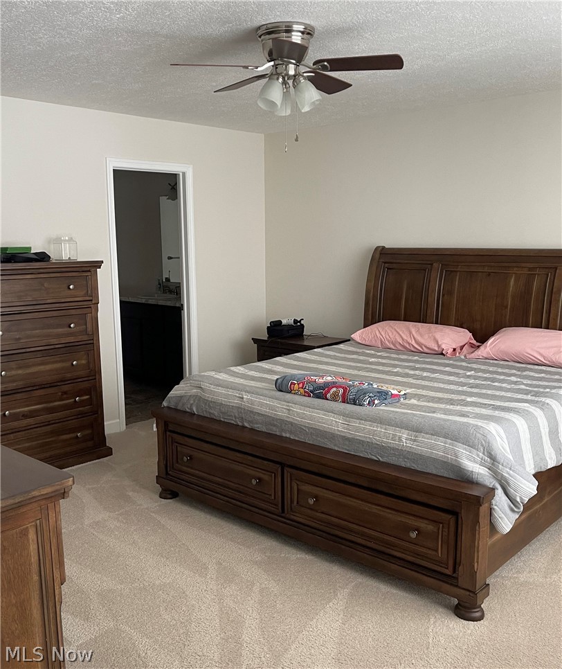 7655 Dewey Road Thompson, OH 44086 - Photo 4 of 11