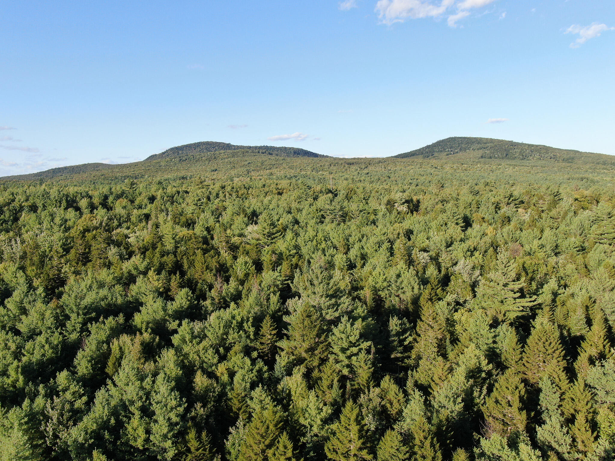 P/o Lot 21 East P/o Road Howland, ME 04448 - Photo 2 of 27 DJI_0120