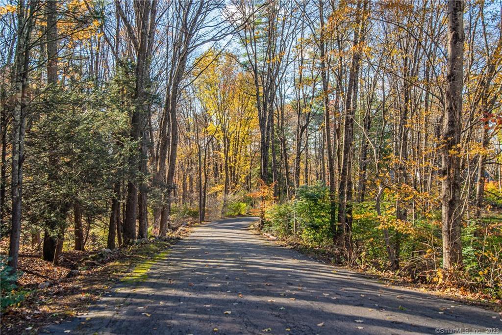 beautiful driveway leading to your new home.
