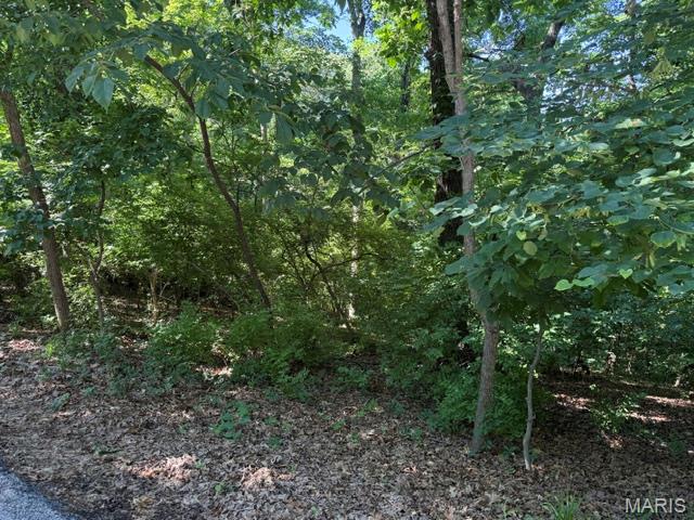 691 Castlecliff Road Ballwin, MO 63021 - Photo 2 of 4