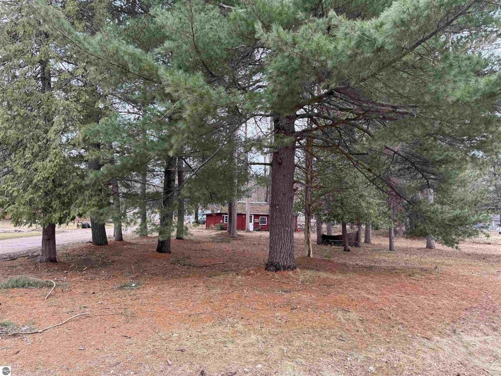 3105 North 3 1/4 Road Mesick, MI 49668 - Photo 2 of 13