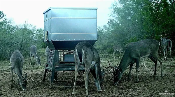 a picture of a bathroom with a sink