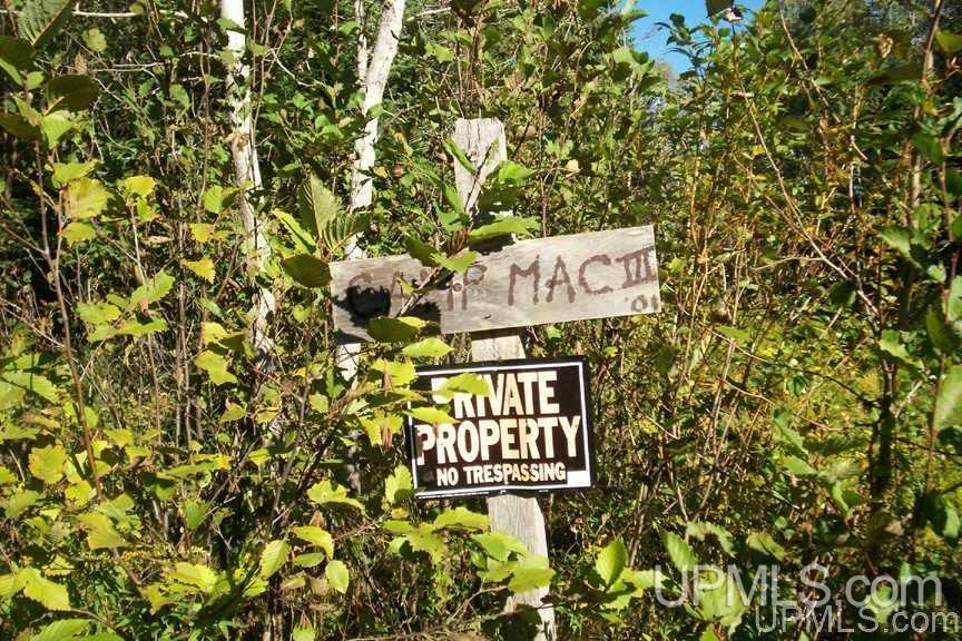 Tbd 140 Acres Off Parkington Road Gulliver, MI 49840 - Photo 11 of 11