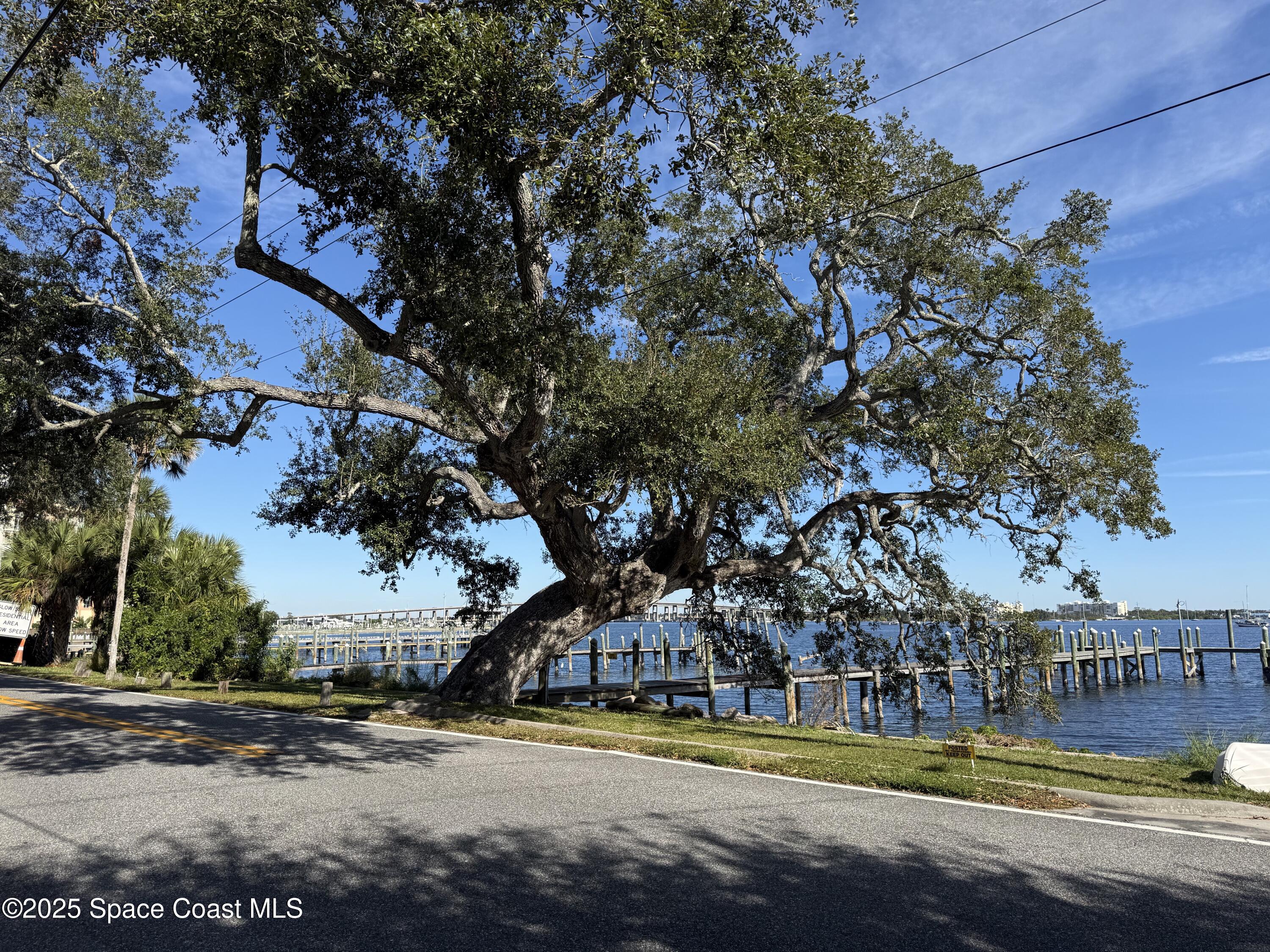 213 Sweet Street Rockledge, FL 32955 - Photo 12 of 24 a view of a swimming pool and trees in the background