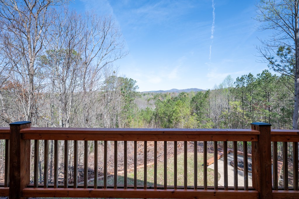 14 Honeysuckle Way Ellijay, GA 30540 - Photo 29 of 69