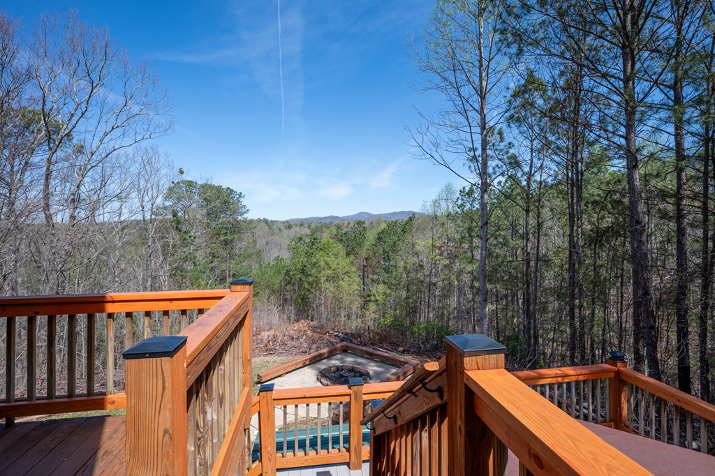 14 Honeysuckle Way Ellijay, GA 30540 - Photo 34 of 69