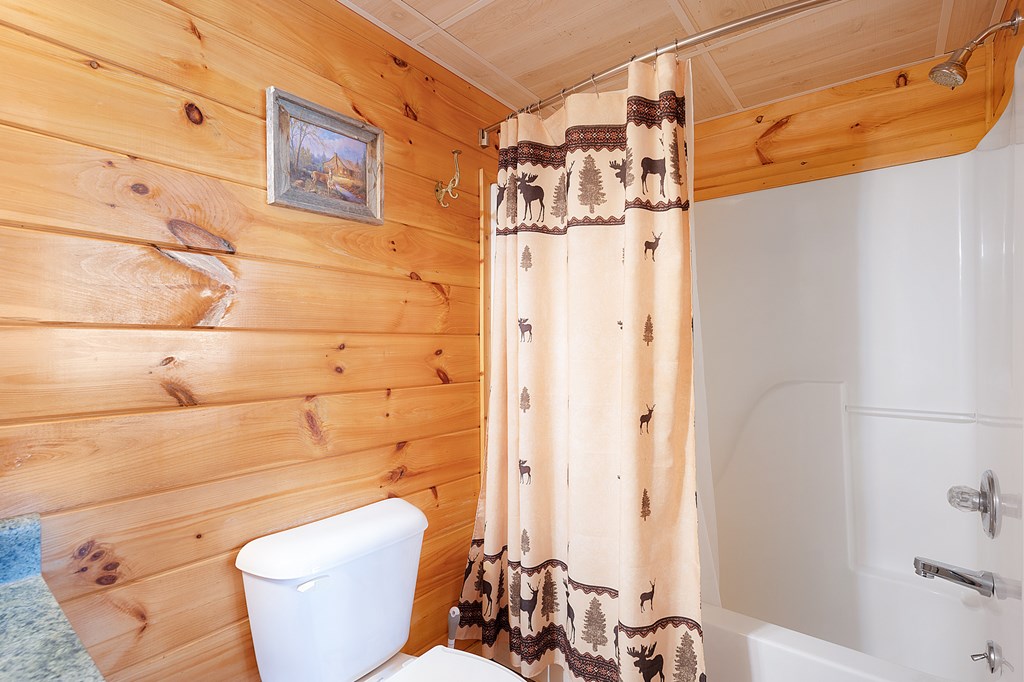 14 Honeysuckle Way Ellijay, GA 30540 - Photo 61 of 69