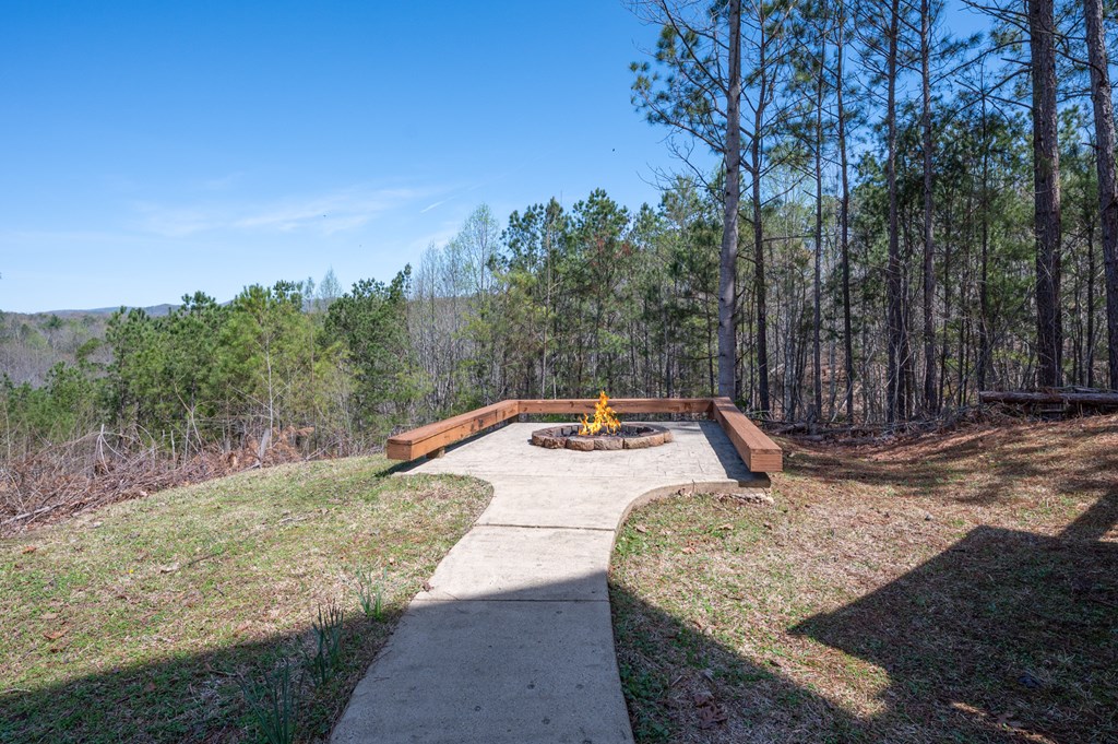 14 Honeysuckle Way Ellijay, GA 30540 - Photo 67 of 69