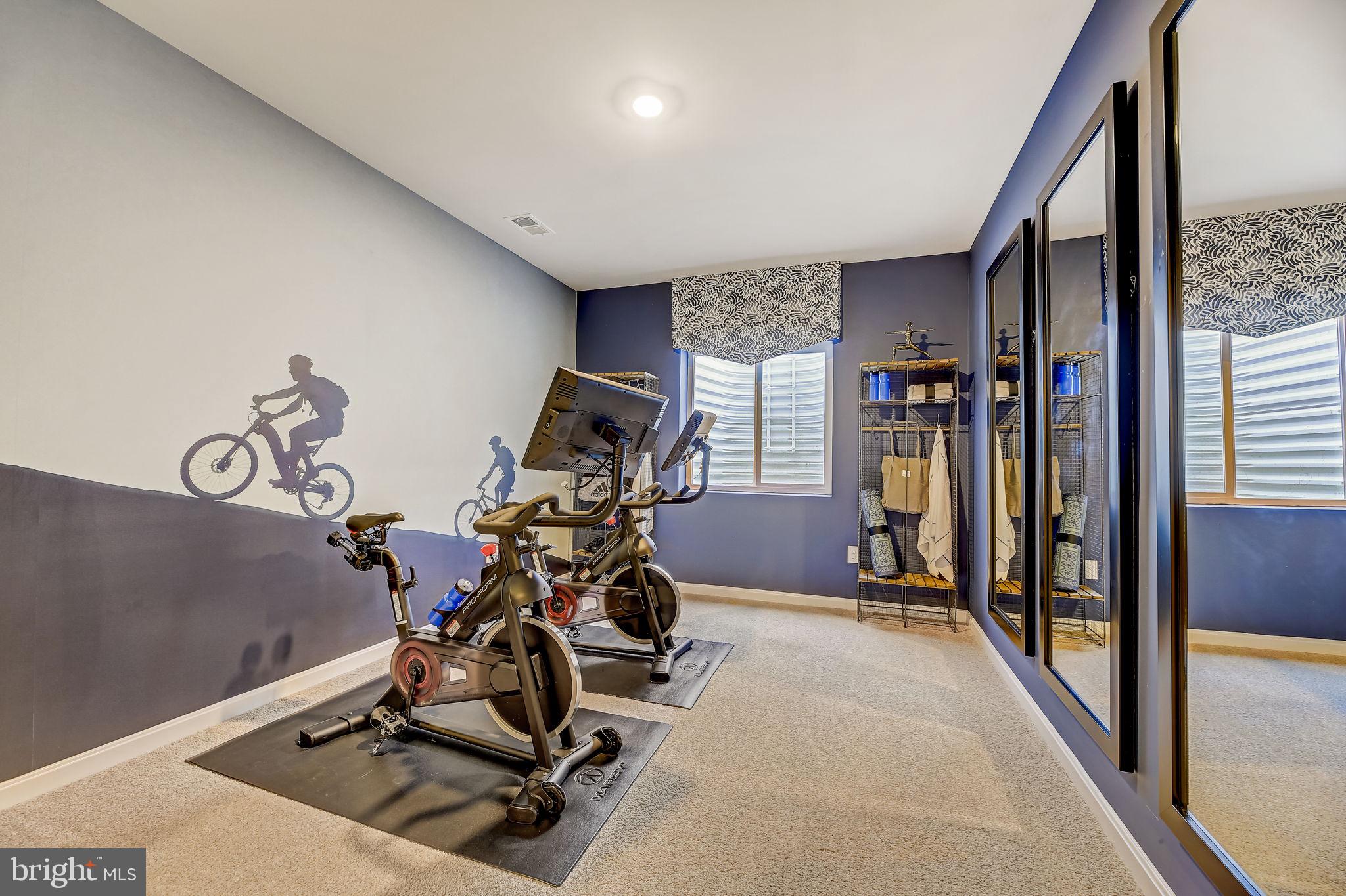 64 Buttercup Circle Elkton, MD 21921 - Photo 28 of 48 a view of a room with gym equipment