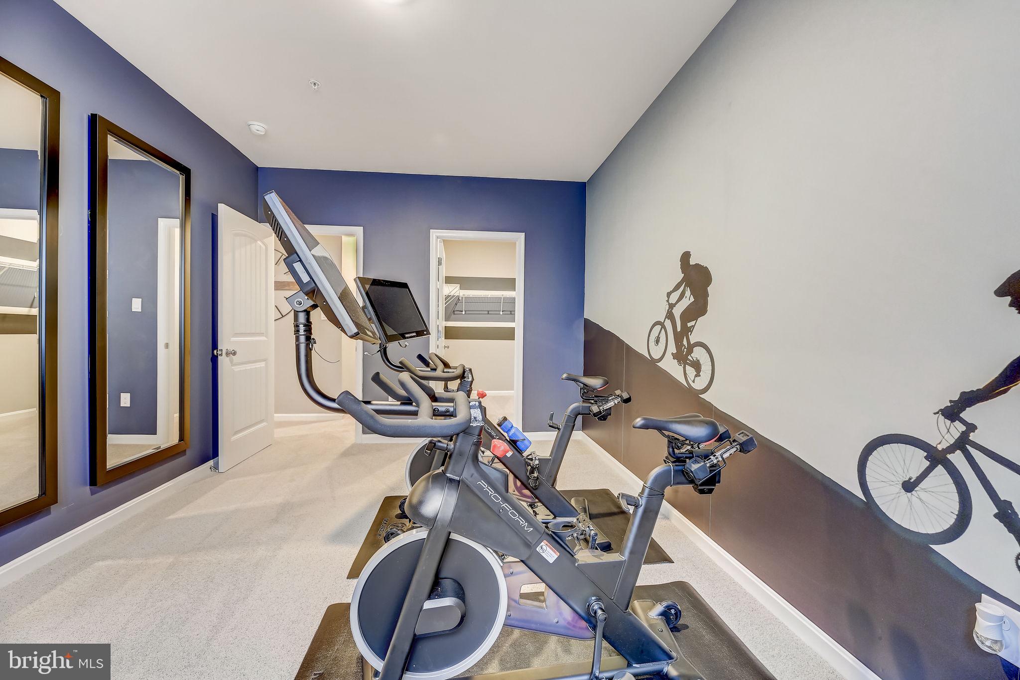 64 Buttercup Circle Elkton, MD 21921 - Photo 29 of 48 a view of a room with gym equipment