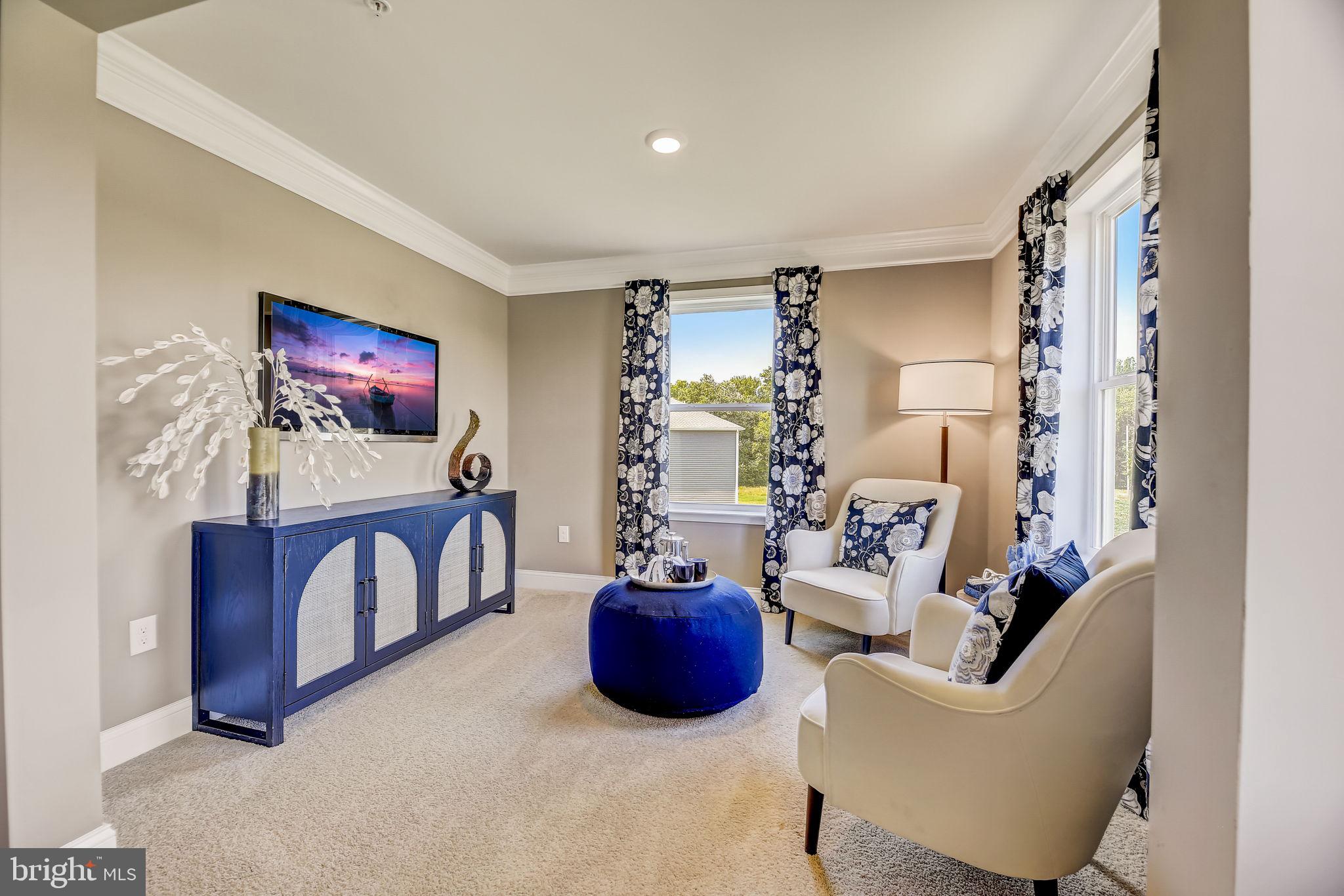 64 Buttercup Circle Elkton, MD 21921 - Photo 43 of 48 a living room with furniture a flat screen tv and a fireplace