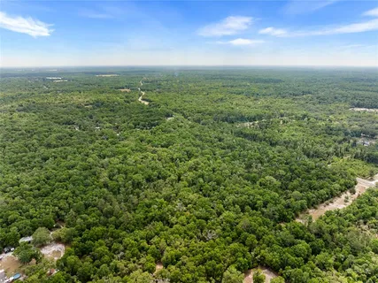 a view of a city with lush green forest