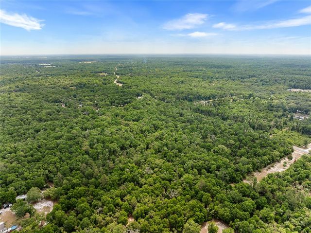 a view of a city with lush green forest