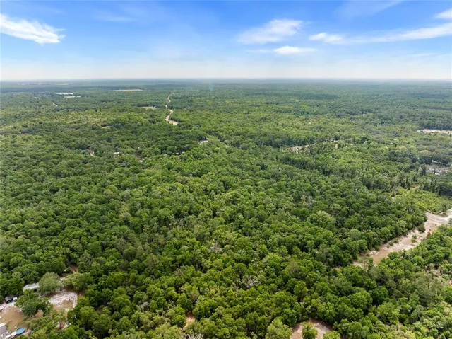a view of a city with lush green forest