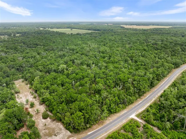 $308,000 | Northeast 389th Avenue, Old Town, FL 32680