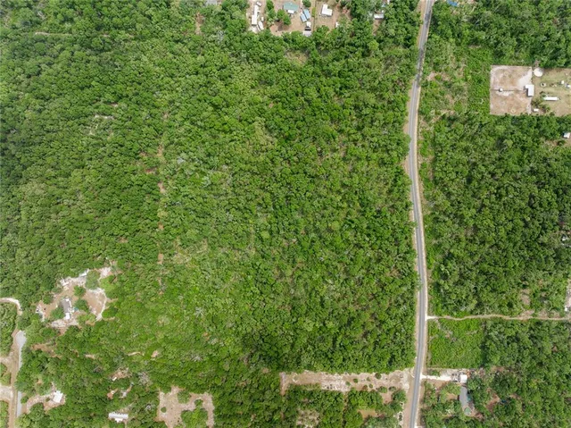 $308,000 | Northeast 389th Avenue, Old Town, FL 32680