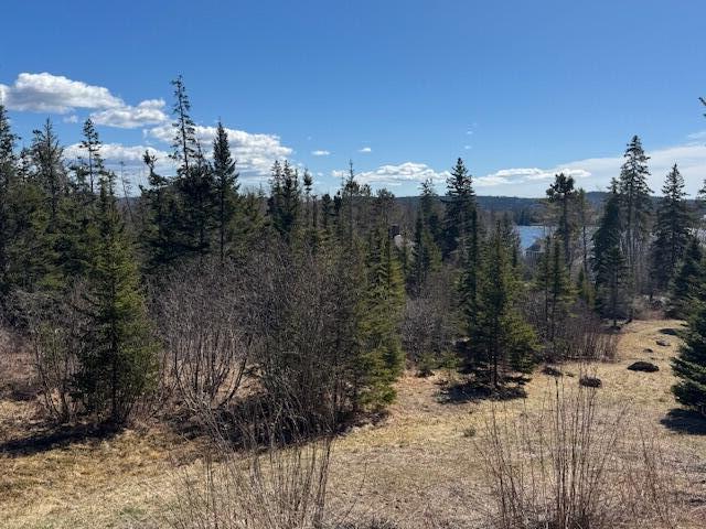 M17-l15 Battle Avenue Castine, ME 04421 - Photo 10 of 22