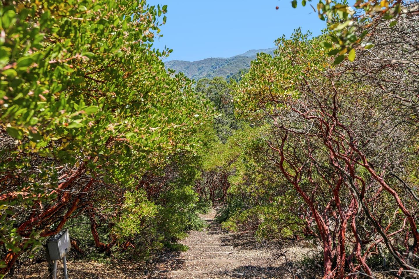 11270 Page Mill Road Los Altos Hills, CA 94022 - Photo 55 of 62