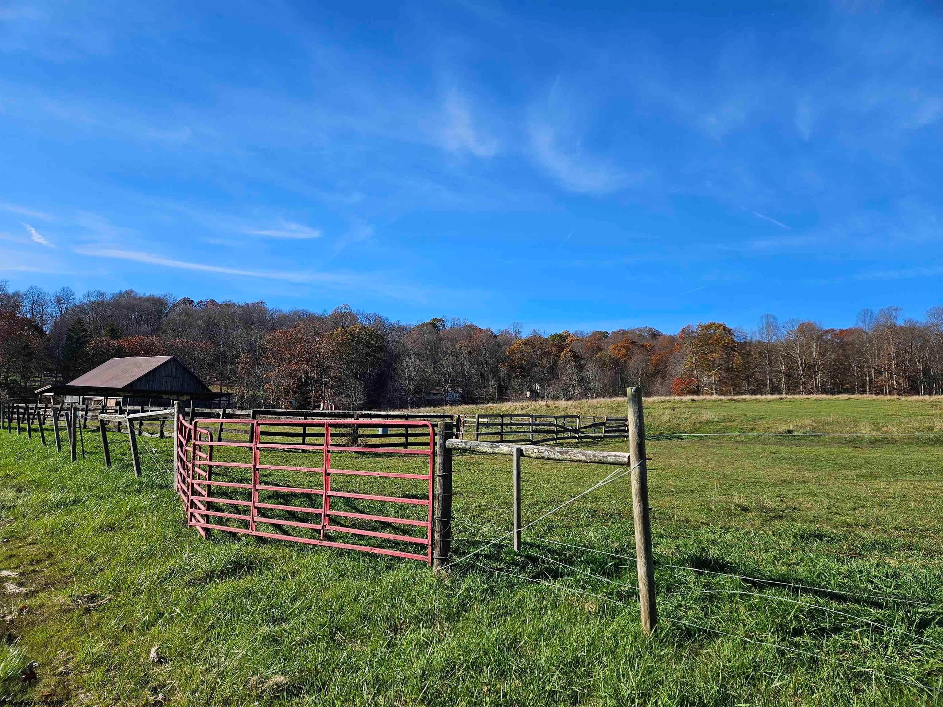 592 Guseman School Road Albright, WV 26519 - Photo 13 of 47 Gallery Image 13