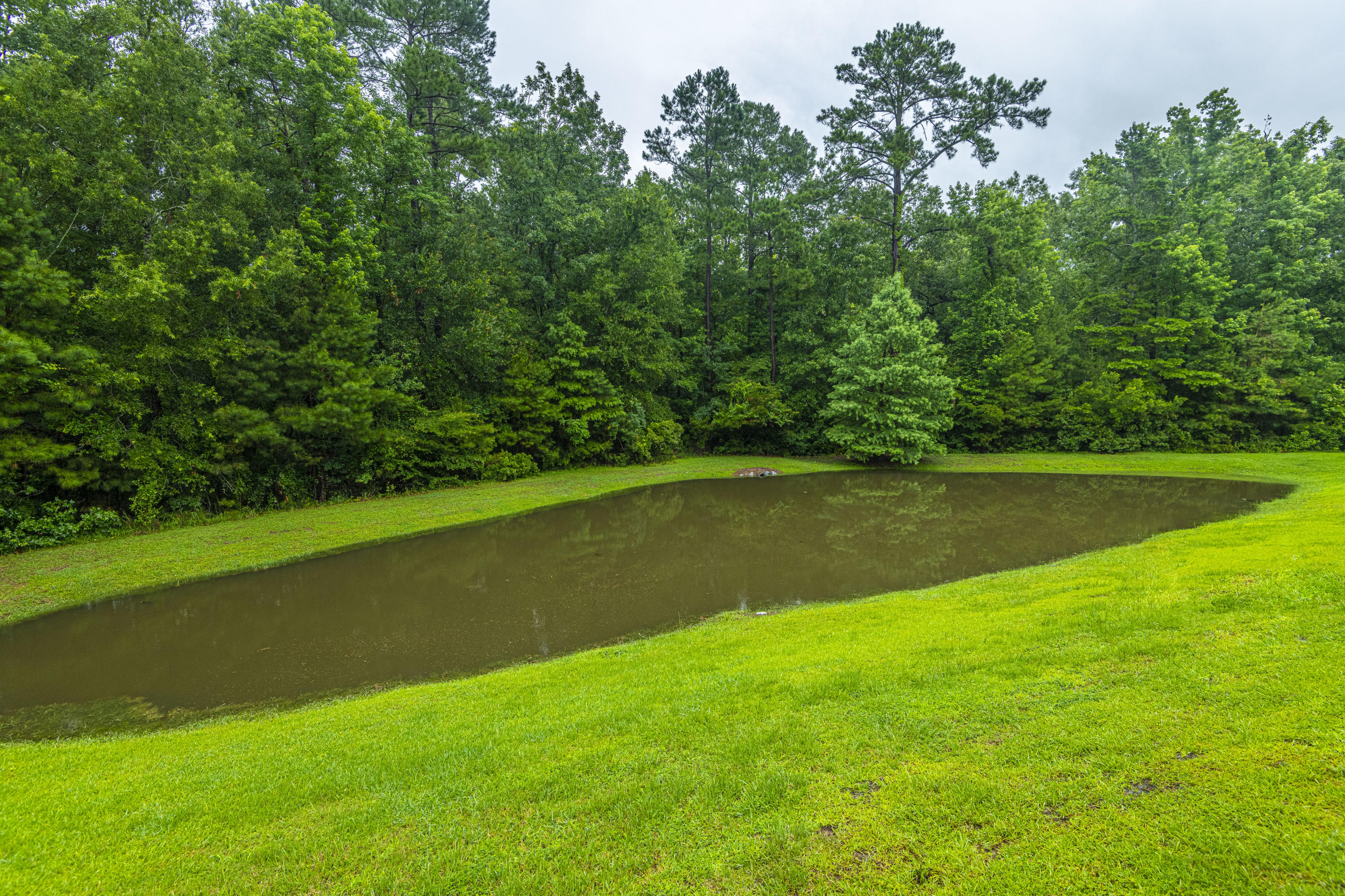 339 Flyway Road Goose Creek, SC 29445 - Photo 3 of 4 DSC_9983