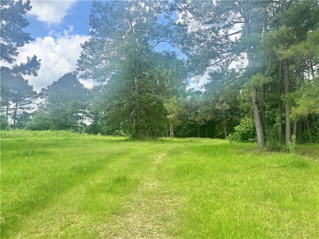 72045 South Lewiston Road Kentwood, LA 70444 - Photo 3 of 17