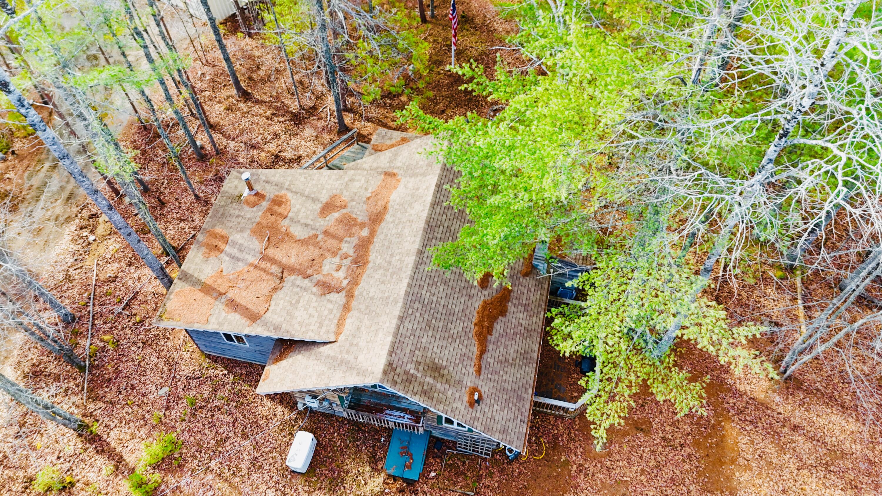 422 Bonney Brook Road Princeton, ME 04668 - Photo 5 of 48 pic 5