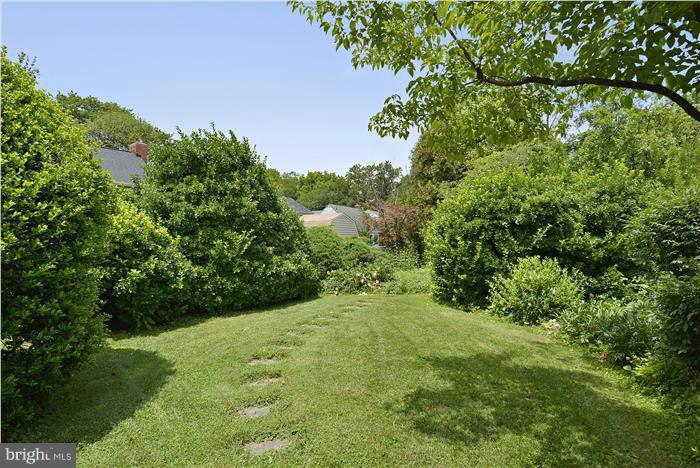 212 Indian Spring Drive Silver Spring, MD 20901 - Photo 22 of 22 a view of a yard with a tree